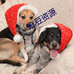 麻豆资源