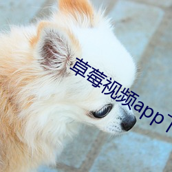 草(草)莓视频app下载