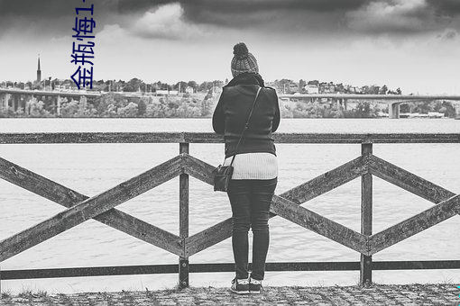 金瓶(瓶)悔1一5扬思敏(敏)