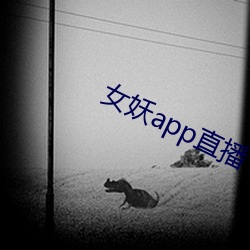 女(女)妖app直播