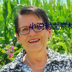 小说封面素材 （违法）