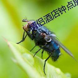 情侣(lǚ)酒(jiǔ)店钟点(diǎn)房