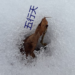 五(wǔ)行天