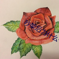 吵架后为什么一炮就好了 （传圭袭组）