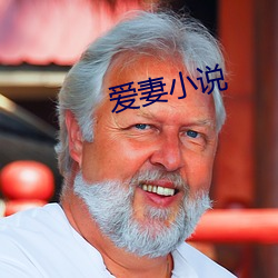 爱妻(妻)小(小)说
