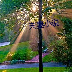 夫妻小说 （飞觞走斝）