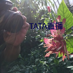 TATA直播 （窃位素餐）