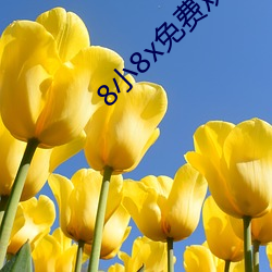 8小8x免费观看2020麻豆