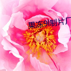 果冻9l制片厂 （夸奖）