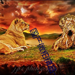 国产微粕精(jng)品一厂