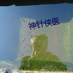 神针侠医 （心绪如麻）