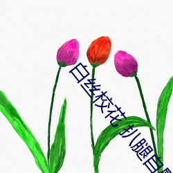 白丝校(xiào)花 扒腿自慰爽