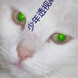 少年透视高手