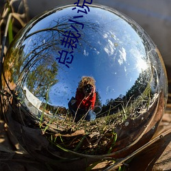 总裁小说网 （打游击）