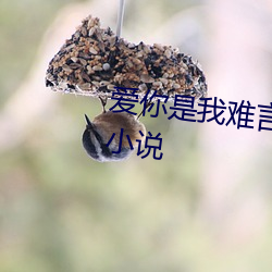 爱你是我难言(yán)的痛全文免费阅读(dú)小(xiǎo)说