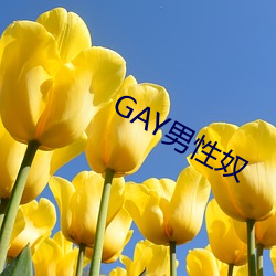 GAY男性(性)奴