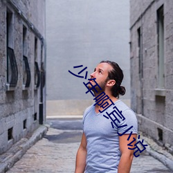 少年啊宾小说 （铁马）