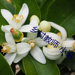 vwin·德赢(中国) - 官方网站
