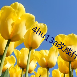 4hu13a改(改)成(成)什(什)么了(了)
