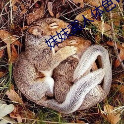 妺妺窝人(rén)体(tǐ)色WWW精品