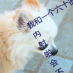 我(我)和一个六十多(多)岁的女人发生了关系(系)还内射(射)啦(啦)会不会怀孕(孕)啦(啦)怀
