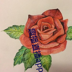 趣播直播app12v （仰角）
