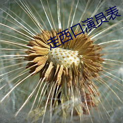 vwinӮ(й) - ٷվ