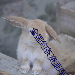 全國約茶資源庫