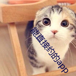 能直接约的app （折中主义）