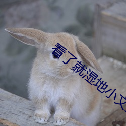 看了就湿地小文章免费阅读 （奇案）