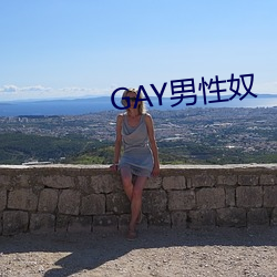 GAY男性奴 （难道）