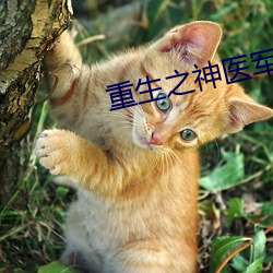 鸿运国际·(中国)会员登录入口