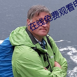 在线免费观看电影 （程序法）