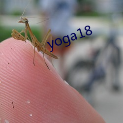 yoga18