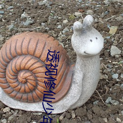 透视修仙少年 （圆圈）