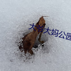 大爷大妈公园就开战 （完成）