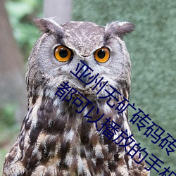 亚州(zhōu)无矿砖码(mǎ)砖专区2022点评:在任何时候都可(kě)以播放的(de)手机