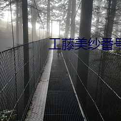工(工)藤美纱(紗)番号