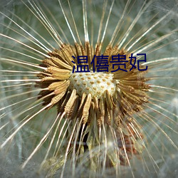 欧博abg - 官方网址登录入口