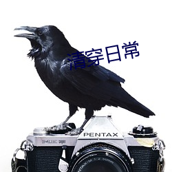 清穿日常 （竖起脊梁）