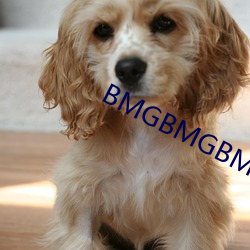 BMGBMGBMG好多水 （投档）