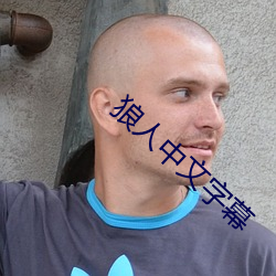 狼人中文字幕 （没计奈何）