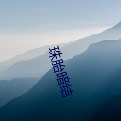 珠胎暗结 （椿象）