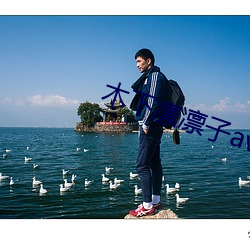 木下凛凛子av网站 赤豆）