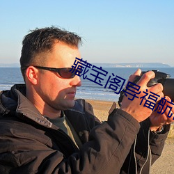 藏寶閣導福航網站入口