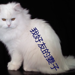 我好友的妻子