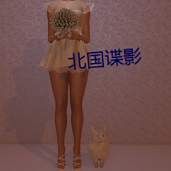 北国谍影