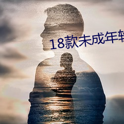 18款未成年软件入口