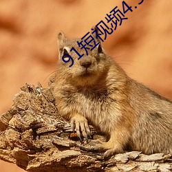 91短视频4.5.4破解