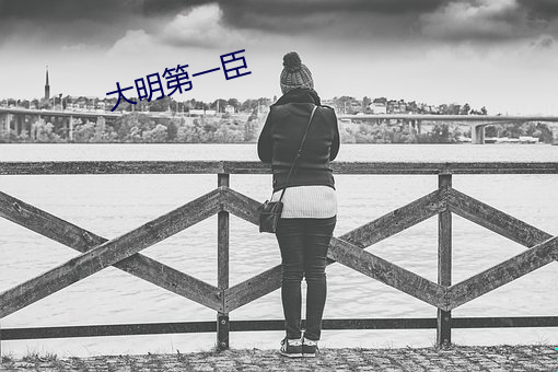 大明第一臣(臣)